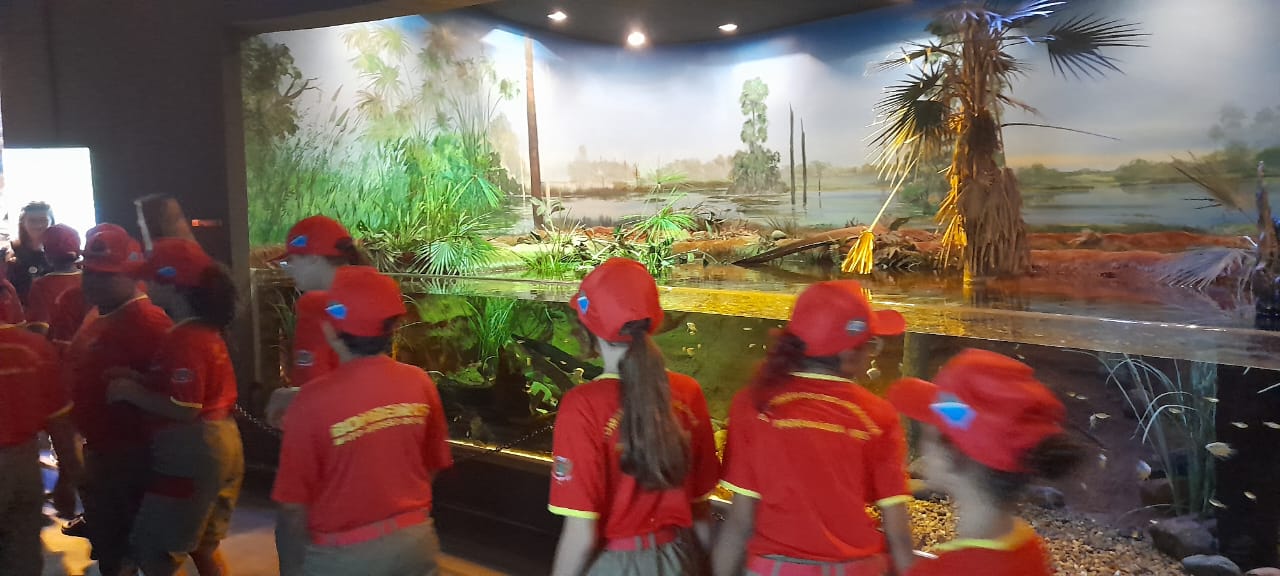 Alunos do “Bombeiros do Amanhã” de Paranaíba visitam BioParque na capital